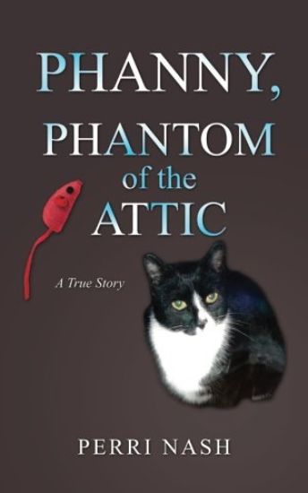 Phanny, Phantom of the Attic
