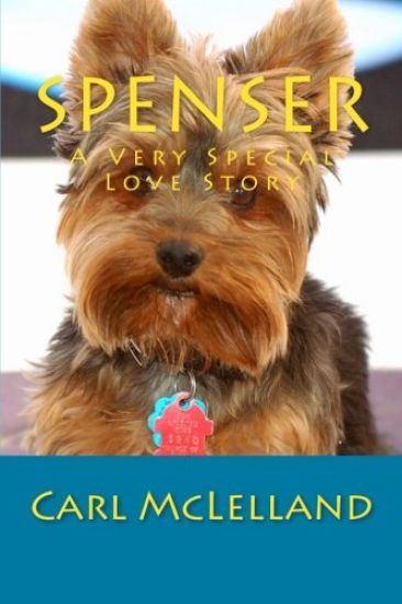 Spenser: A Very Special Love Story