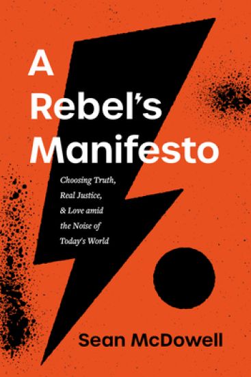 Rebel's Manifesto, A