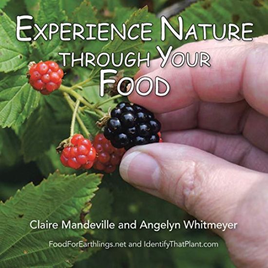 Experience Nature Through Your Food