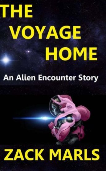 The Voyage Home