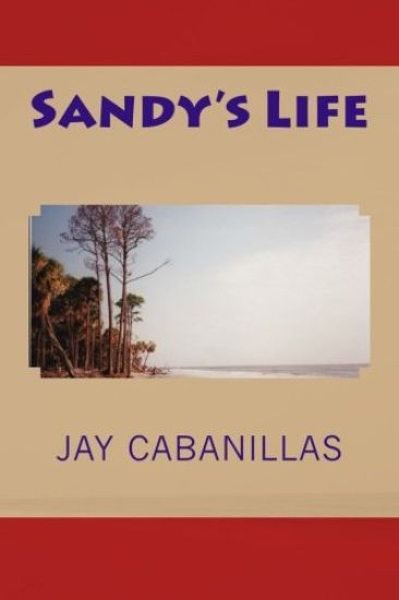 Sandy's Life