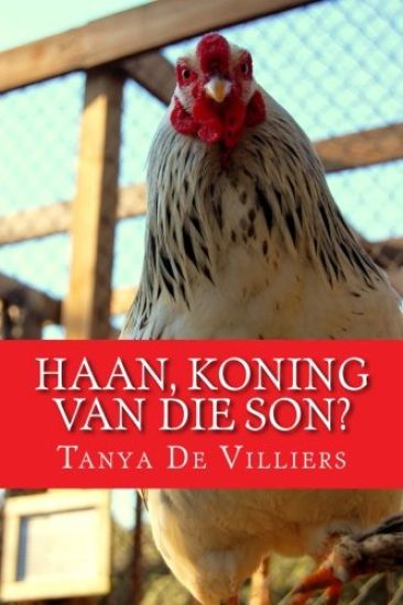 Haan, Koning van die Son?