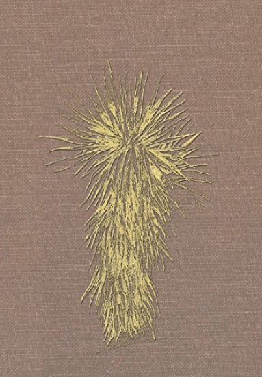 Marfa and Presidio County, Texas