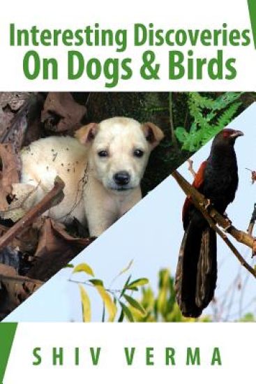 Interesting Discoveries on Dogs & Birds