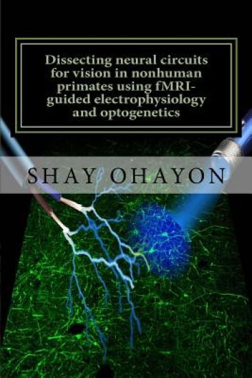 Dissecting neural circuits for vision in nonhuman primates using fMRI-guided electrophysiology and optogenetics: PhD Thesis