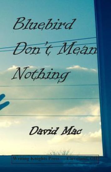 Bluebird Don't Mean Nothing