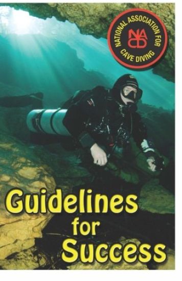 Guidelines for Success