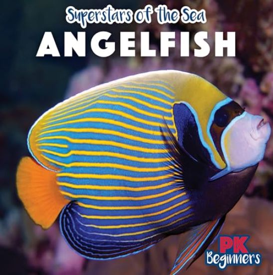 Angelfish