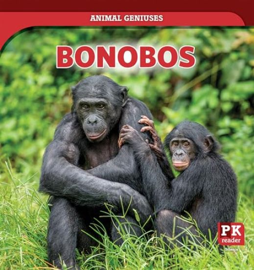 Bonobos