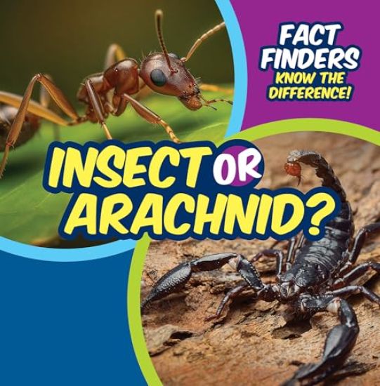Insect or Arachnid?