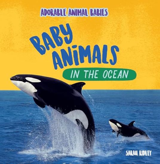 Baby Animals in the Ocean