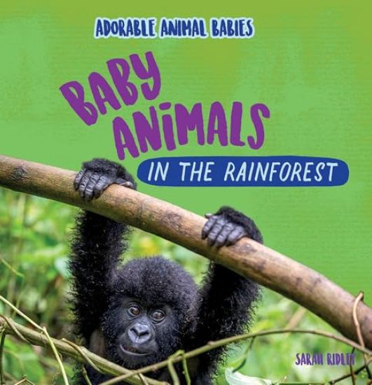 Baby Animals in the Rainforest