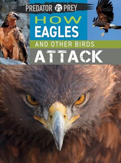 How Eagles and Other Birds Attack