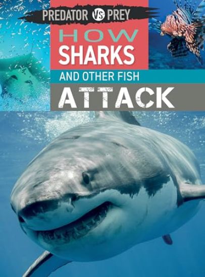 How Sharks and Other Fish Attack