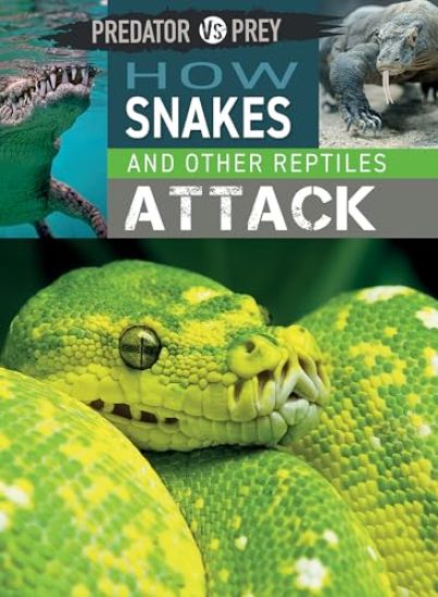 How Snakes and Other Reptiles Attack