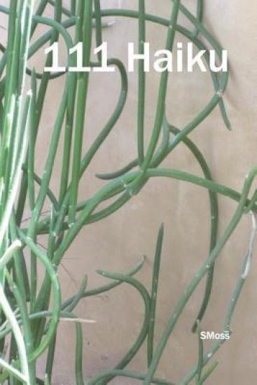 111 Haiku