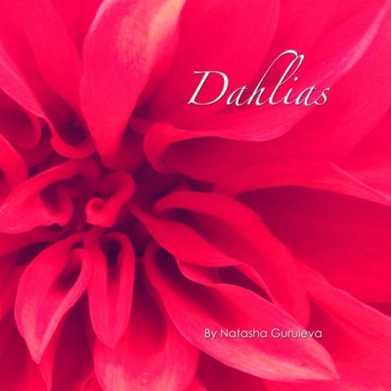 Dahlias