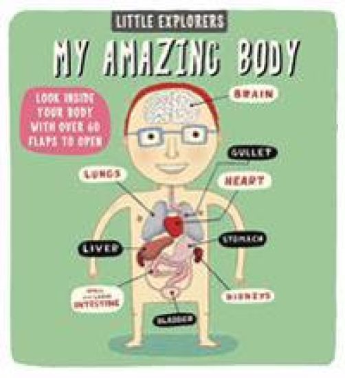 Little Explorers: My Amazing Body