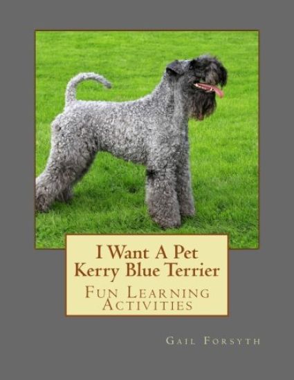 I Want A Pet Kerry Blue Terrier: Fun Learning Activities