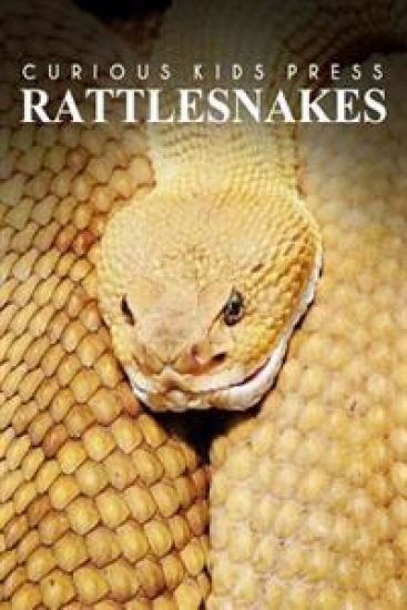 Rattle Snakes - Curious Kids Press: Kids book about animals and wildlife, Children's books 4-6