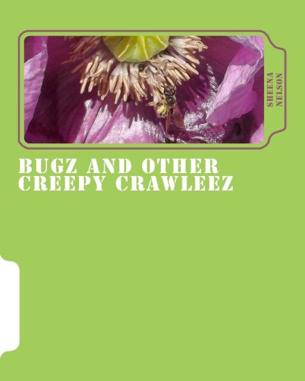 bugz and other creepy crawleez: insects and spiders, a picture book