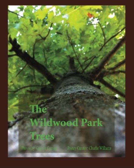 The Wildwood Park Trees