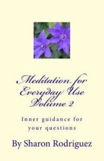 Meditation for Everyday Use Volume 2: Inner guidance for your questions