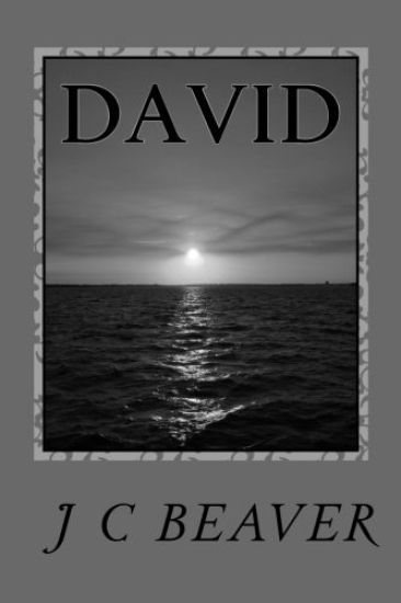 David: Journey Continues