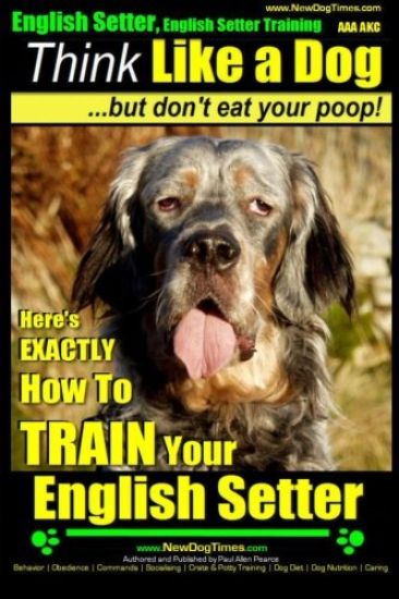 English Setter, English Setter Training AAA AKC Think Like a Dog, But Don't Eat Your Poop!: English Setter Breed Expert Training Here's EXACTLY How to