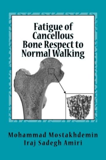 Fatigue of Cancellous Bone Respect to Normal Walking