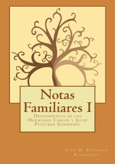 Notas Familiares: Descendencia de los Hermanos Carlos y Julio Pflücker Schmiedel