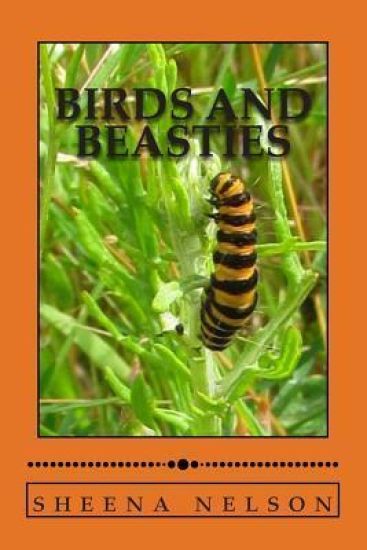 Birds and beasties: a photo book of birds and other creatures
