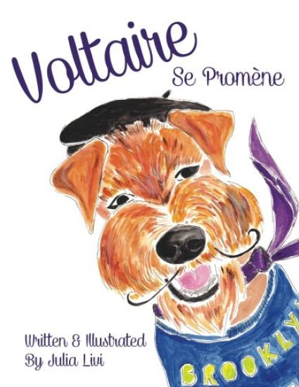 Voltaire Se Promène