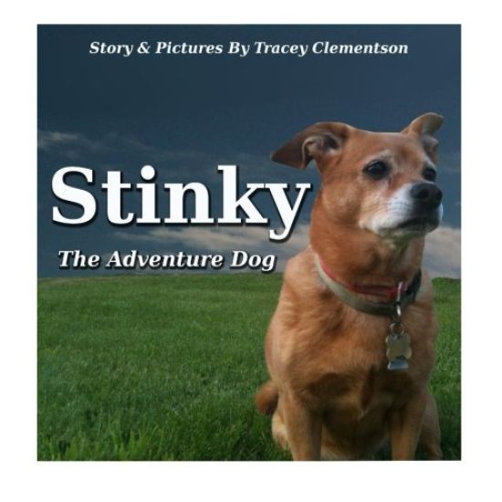 Stinky: The Adventure Dog