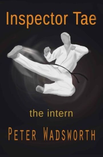Inspector Tae: the intern