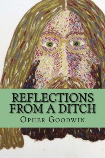 Reflections from a ditch