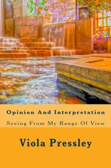 Opinion And Interpretation: Seeing From My Range Of View
