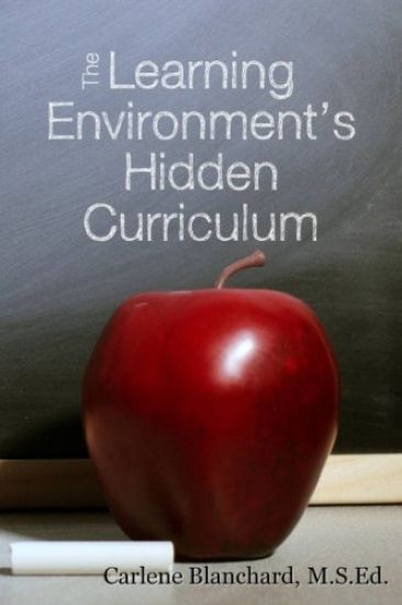 The Learning Environment's Hidden Curriculum