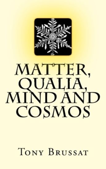 Matter, Qualia, Mind and Cosmos