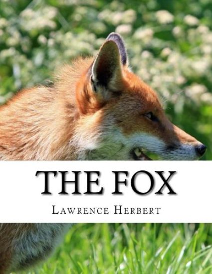 The Fox