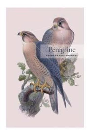 Peregrine: Poems by Paul Soupiset