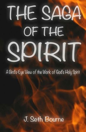 The Saga of the Spirit: A Bird's-Eye View of the Word of God's Holy Spirit