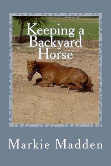 Keeping a Backyard Horse