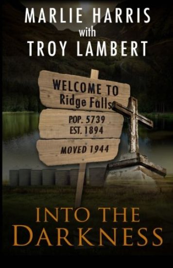 Into the Darkness: A Ridge Falls Story