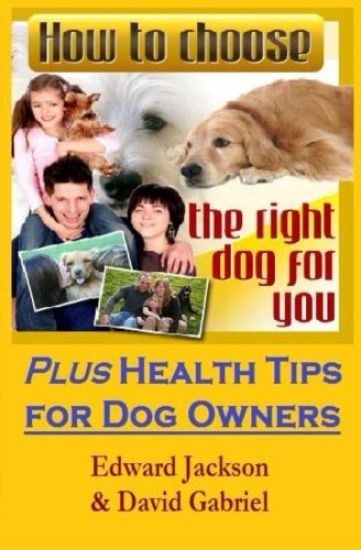 How To Choose The Right Dog For You: Plus Health Tips for Dog Owners