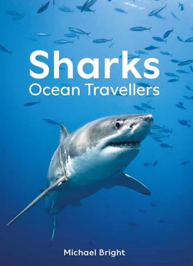 Sharks: Ocean Travellers