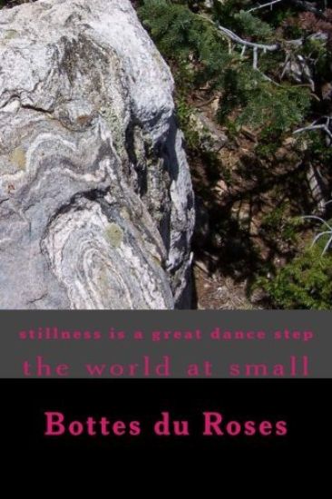 stillness is a great dance step: The world at Small
