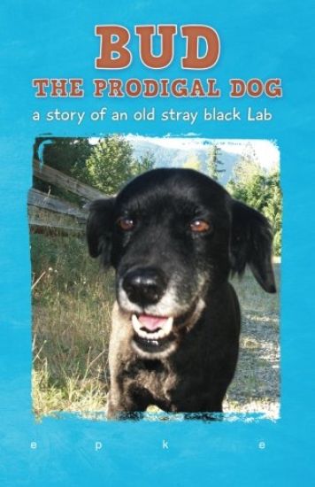 Bud The Prodigal Dog: a story of an old stray black Lab