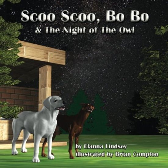 Scoo Scoo, Bo Bo and the Night Owl